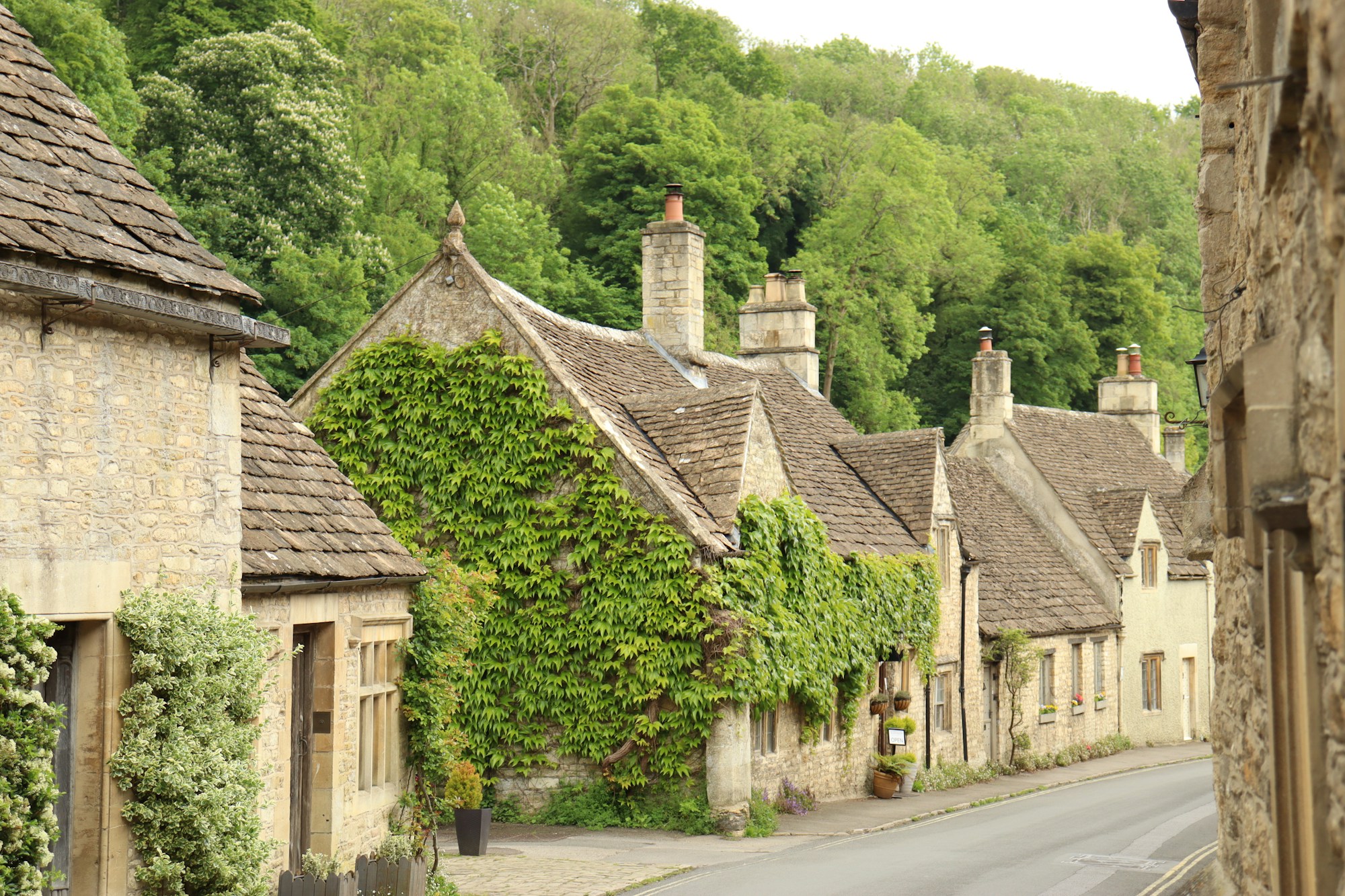 A row of Cotswold houses with ivy on the walls, near our Castle Street office in Cirencester.